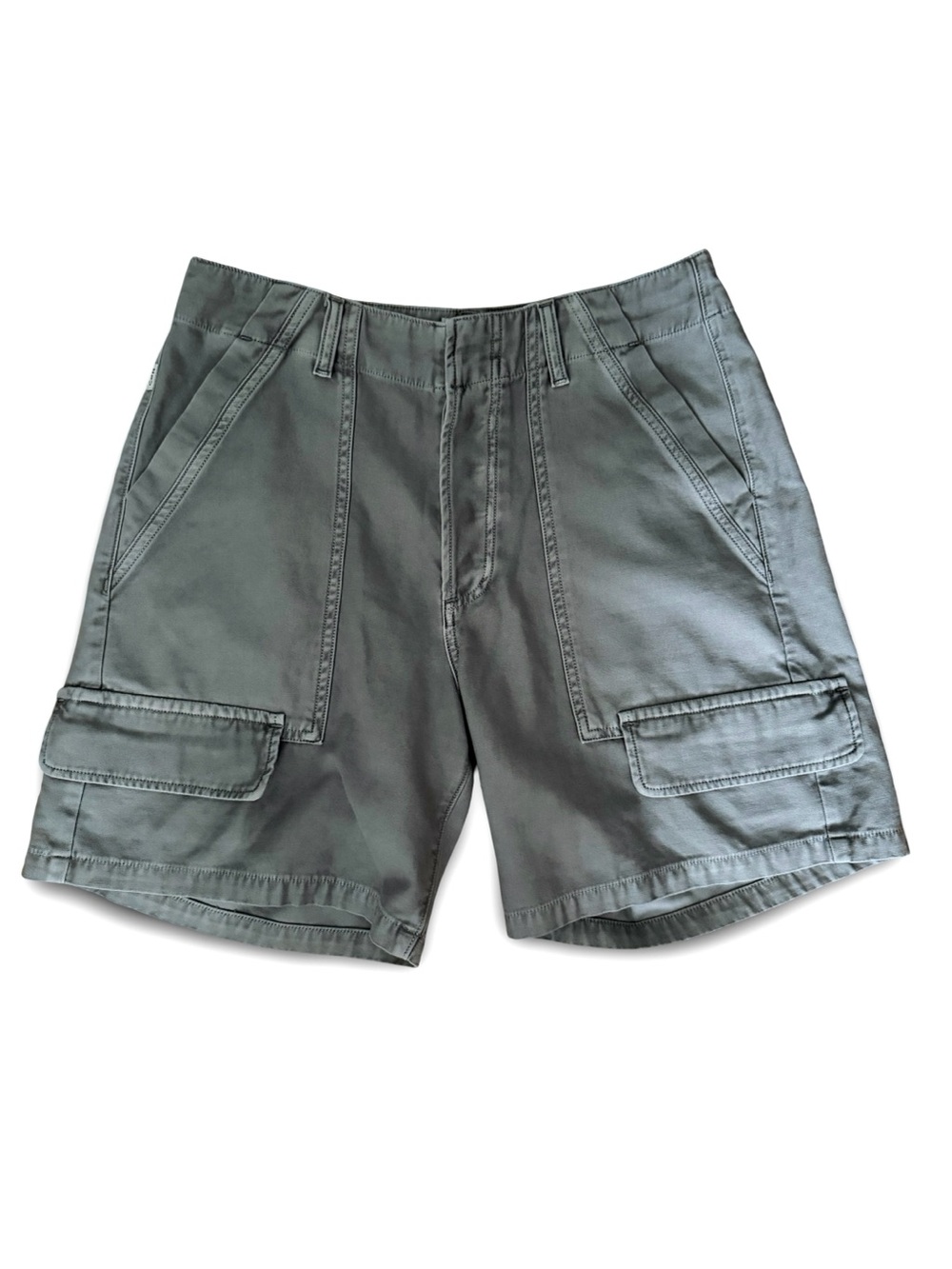 Citizens of Humanity Georgia Cargo Shorts